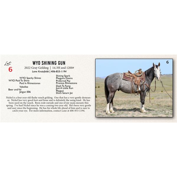 WYO Shining Gun