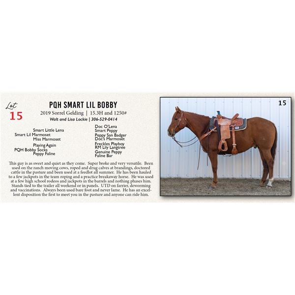 PQH Smart Lil Bobby