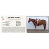 Image 1 : PQH Smart Lil Bobby