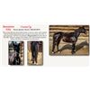 Image 1 : Donation Filly