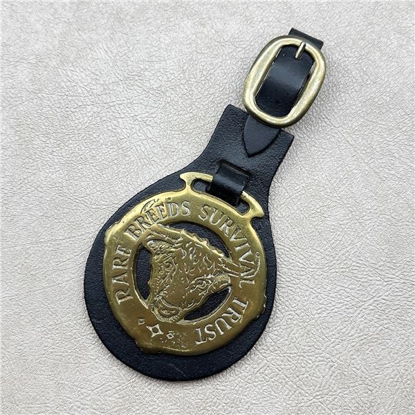 RARE BREEDS SURVIVAL TRUST HORSE BRASS - PENDANT