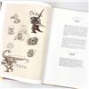 Image 10 : THE GOBLINS OF LABYRINTH - JIM HENSON’S FILM BOOK