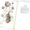 Image 17 : THE GOBLINS OF LABYRINTH - JIM HENSON’S FILM BOOK