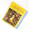 Image 20 : THE GOBLINS OF LABYRINTH - JIM HENSON’S FILM BOOK