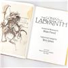 Image 5 : THE GOBLINS OF LABYRINTH - JIM HENSON’S FILM BOOK