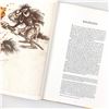 Image 6 : THE GOBLINS OF LABYRINTH - JIM HENSON’S FILM BOOK