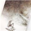 Image 5 : CONCEPTIONS II BY LUIS ROYO - ADULT FANTASY ART