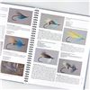 Image 12 : MODERN ATLANTIC SALMON FLIES - FLY TYING BOOK