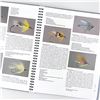 Image 13 : MODERN ATLANTIC SALMON FLIES - FLY TYING BOOK
