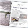 Image 17 : MODERN ATLANTIC SALMON FLIES - FLY TYING BOOK
