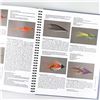 Image 18 : MODERN ATLANTIC SALMON FLIES - FLY TYING BOOK