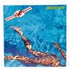 Image 1 : LITTLE RIVER BAND GREATEST HITS VINYL LP RECORD