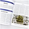 Image 5 : HOW TO REBUILD & MODIFY ROCHESTER QUADRAJETS