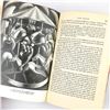 Image 19 : VTG MODERN ENGLISH PAINTERS READERS UNION BOOK