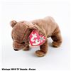Image 1 : VINTAGE TY BEANIE BABY PECAN THE BEAR PLUSH TOY