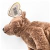 Image 8 : VINTAGE TY BEANIE BABY PECAN THE BEAR PLUSH TOY