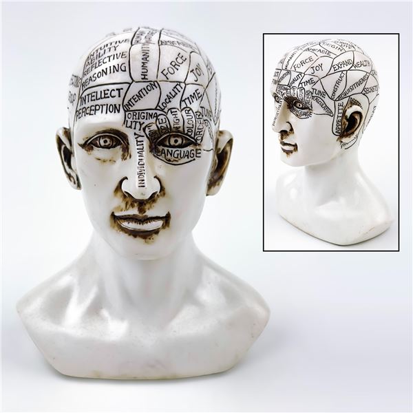 DESIGN TOSCANO PHRENOLOGY HEAD BUST STATUE