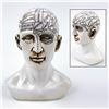 Image 1 : DESIGN TOSCANO PHRENOLOGY HEAD BUST STATUE