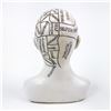 Image 5 : DESIGN TOSCANO PHRENOLOGY HEAD BUST STATUE