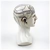 Image 7 : DESIGN TOSCANO PHRENOLOGY HEAD BUST STATUE
