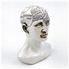 Image 8 : DESIGN TOSCANO PHRENOLOGY HEAD BUST STATUE