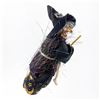 Image 4 : VTG STYLE FLYING KITCHEN WITCH FIGURINE SCULPTURE