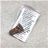 Image 3 : HAIDA INDIGENOUS FIRST NATIONS COPPER SHIELD PIN