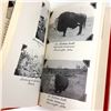 Image 12 : BUFFALO BUD: ADVENTURES OF A COWBOY - HISTORY