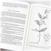 Image 10 : BUDD'S FLORA OF THE CANADIAN PRAIRIE PROVINCES