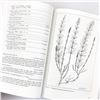 Image 12 : BUDD'S FLORA OF THE CANADIAN PRAIRIE PROVINCES