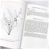 Image 13 : BUDD'S FLORA OF THE CANADIAN PRAIRIE PROVINCES