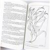 Image 16 : BUDD'S FLORA OF THE CANADIAN PRAIRIE PROVINCES
