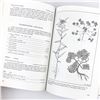 Image 18 : BUDD'S FLORA OF THE CANADIAN PRAIRIE PROVINCES