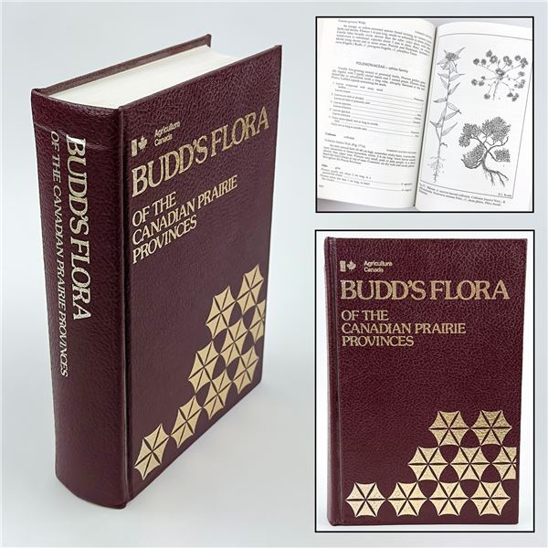 BUDD'S FLORA OF THE CANADIAN PRAIRIE PROVINCES