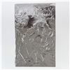 Image 1 : SILVER EMBOSSED LADY DEATH CRUCIBLE #1 - COMIC