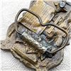 Image 6 : LTD ED. OF 900 - CARDINAL RIVER COALS BELT BUCKLE