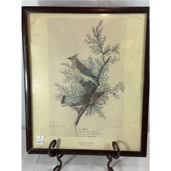 Antique-Style Audubon Reproduction Print — "Cedar Waxwing," Framed
