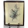 Image 1 : Antique-Style Audubon Reproduction Print — "Cedar Waxwing," Framed