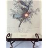 Image 3 : Antique-Style Audubon Reproduction Print — "Cedar Waxwing," Framed