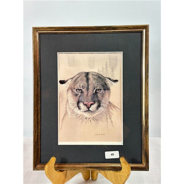 R. Fehr "Cougar Portrait" — Signed & Dated 1984 Print