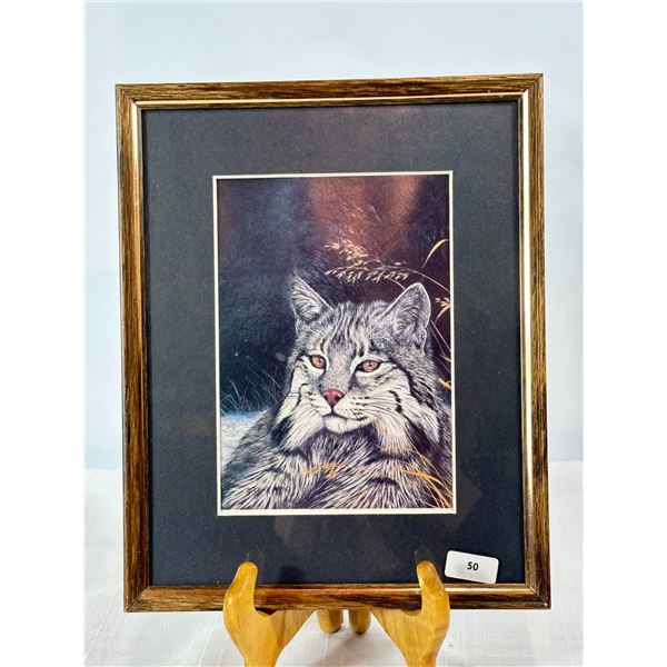 R. Fehr "Bobcat" — Signed Wildlife Print