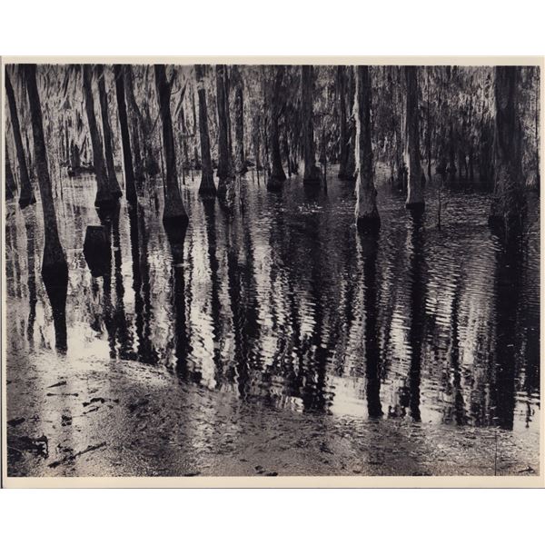 2pc Eliot Elisofon (American, 1911-1973) Gelatin Silver Prints, Cotton Field and Abstract Water Stud