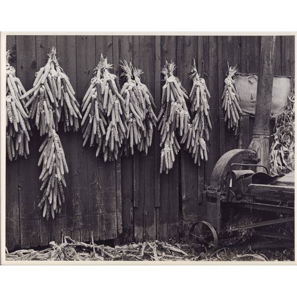 2pc Eliot Elisofon (American, 1911-1973) Original Gelatin Silver Prints Corn Subjects