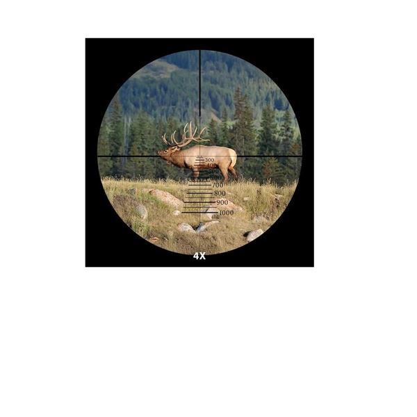 Quigley-Ford Rifle Scope