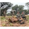 Image 2 : Catena Safaris Argentina - Big Game Trip