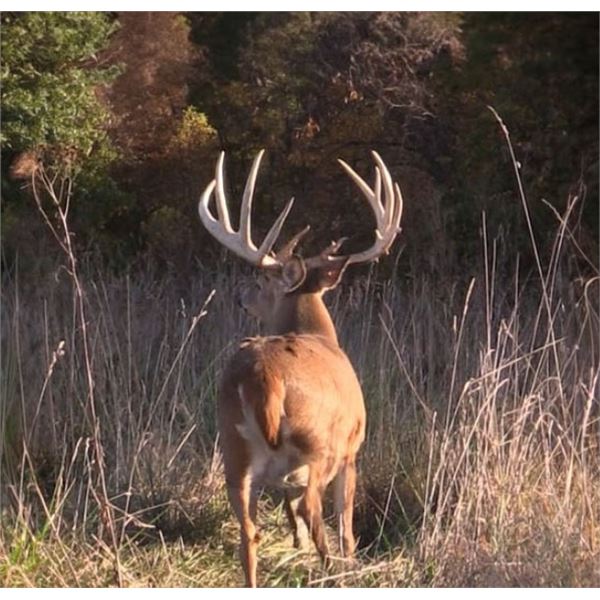 Xtreme World Class Whitetails of Ohio