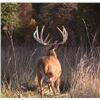 Image 1 : Xtreme World Class Whitetails of Ohio