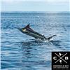 Image 2 : Sport Fishing Trip for 2 with Crocodile Bay Resort located in Costa Rica