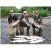 Image 6 : Fishing trip with McDougall Lodge located in Lake Creek, Alaska