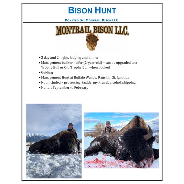 Montana Bison Hunt